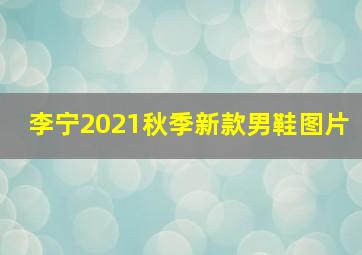 李宁2021秋季新款男鞋图片