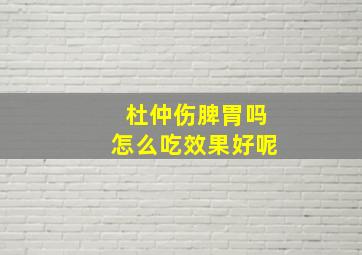 杜仲伤脾胃吗怎么吃效果好呢