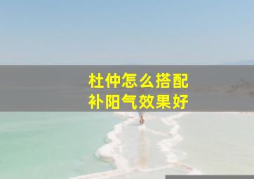 杜仲怎么搭配补阳气效果好