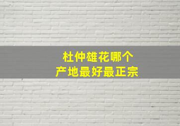 杜仲雄花哪个产地最好最正宗