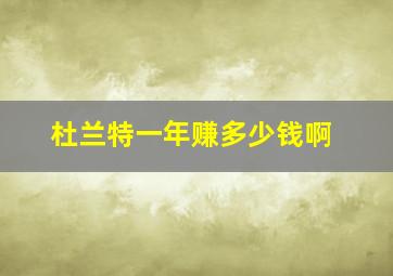 杜兰特一年赚多少钱啊