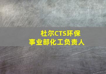 杜尔CTS环保事业部化工负责人