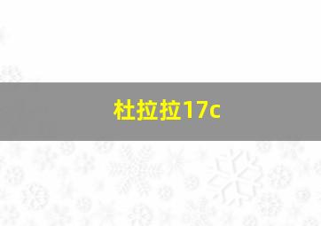 杜拉拉17c