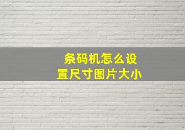 条码机怎么设置尺寸图片大小