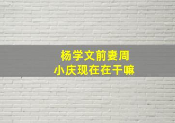 杨学文前妻周小庆现在在干嘛