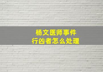 杨文医师事件行凶者怎么处理