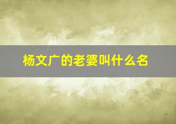 杨文广的老婆叫什么名