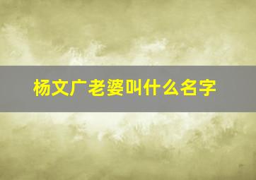 杨文广老婆叫什么名字