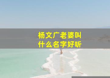 杨文广老婆叫什么名字好听