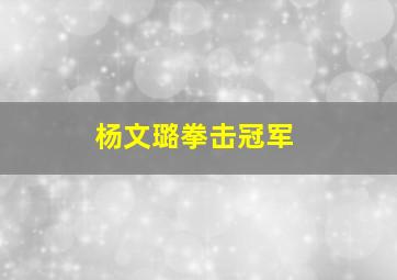 杨文璐拳击冠军