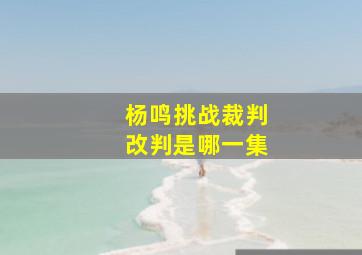 杨鸣挑战裁判改判是哪一集