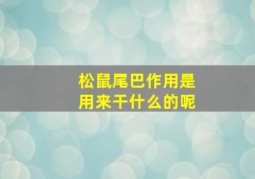 松鼠尾巴作用是用来干什么的呢