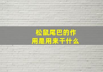 松鼠尾巴的作用是用来干什么