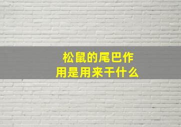 松鼠的尾巴作用是用来干什么