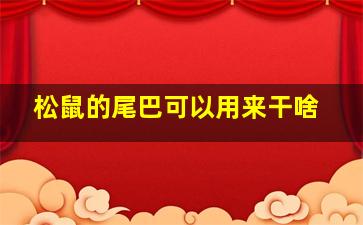 松鼠的尾巴可以用来干啥