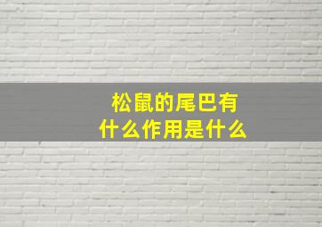 松鼠的尾巴有什么作用是什么