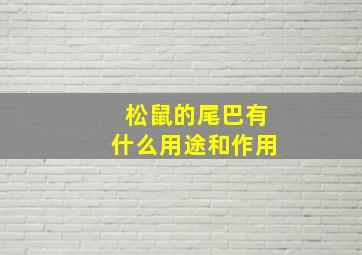 松鼠的尾巴有什么用途和作用