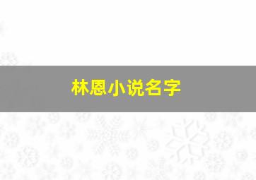 林恩小说名字