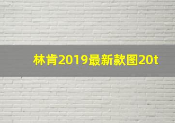 林肯2019最新款图20t