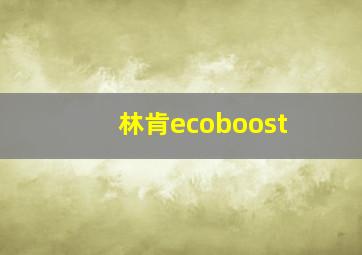 林肯ecoboost