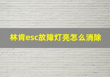 林肯esc故障灯亮怎么消除