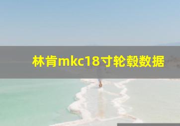 林肯mkc18寸轮毂数据