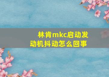 林肯mkc启动发动机抖动怎么回事