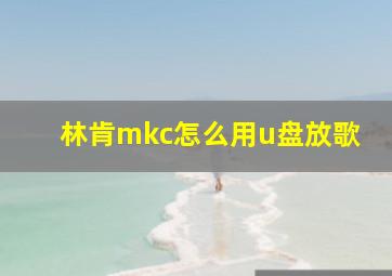 林肯mkc怎么用u盘放歌