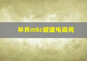 林肯mkc碳罐电磁阀