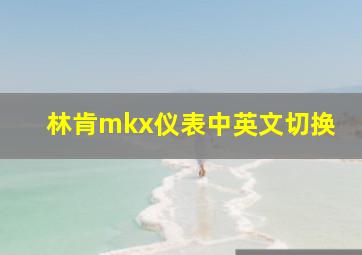 林肯mkx仪表中英文切换