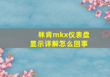 林肯mkx仪表盘显示详解怎么回事