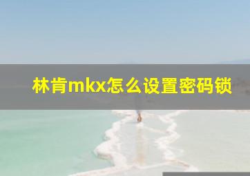 林肯mkx怎么设置密码锁