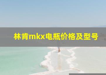 林肯mkx电瓶价格及型号