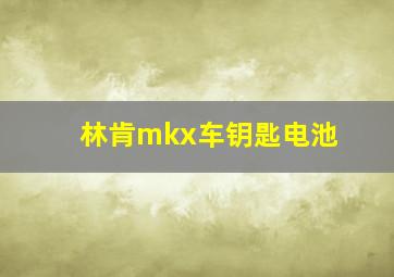 林肯mkx车钥匙电池