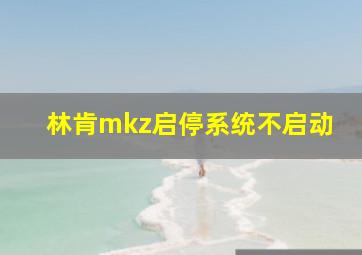 林肯mkz启停系统不启动