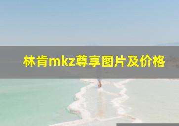 林肯mkz尊享图片及价格