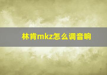 林肯mkz怎么调音响