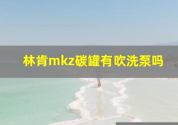 林肯mkz碳罐有吹洗泵吗