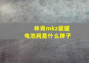 林肯mkz碳罐电池阀是什么牌子