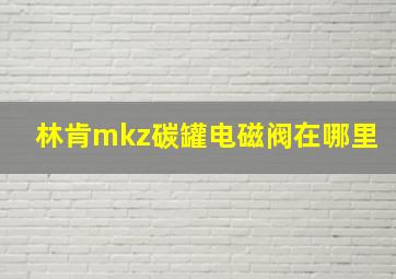 林肯mkz碳罐电磁阀在哪里