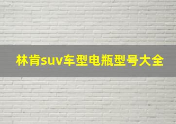 林肯suv车型电瓶型号大全