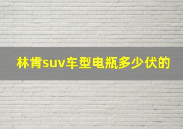 林肯suv车型电瓶多少伏的