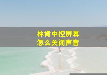 林肯中控屏幕怎么关闭声音