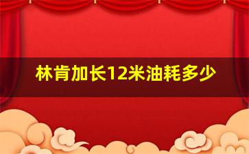 林肯加长12米油耗多少