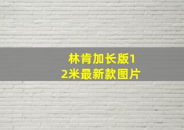 林肯加长版12米最新款图片