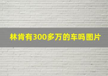 林肯有300多万的车吗图片