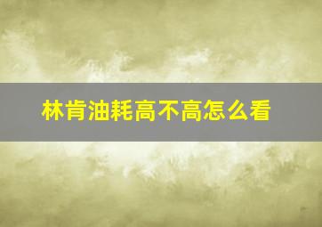 林肯油耗高不高怎么看