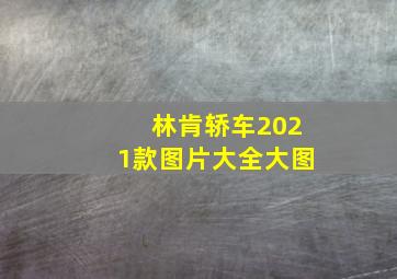 林肯轿车2021款图片大全大图