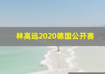 林高远2020德国公开赛