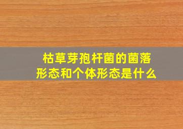 枯草芽孢杆菌的菌落形态和个体形态是什么